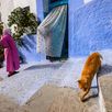 28 38 Chefchaouen 8